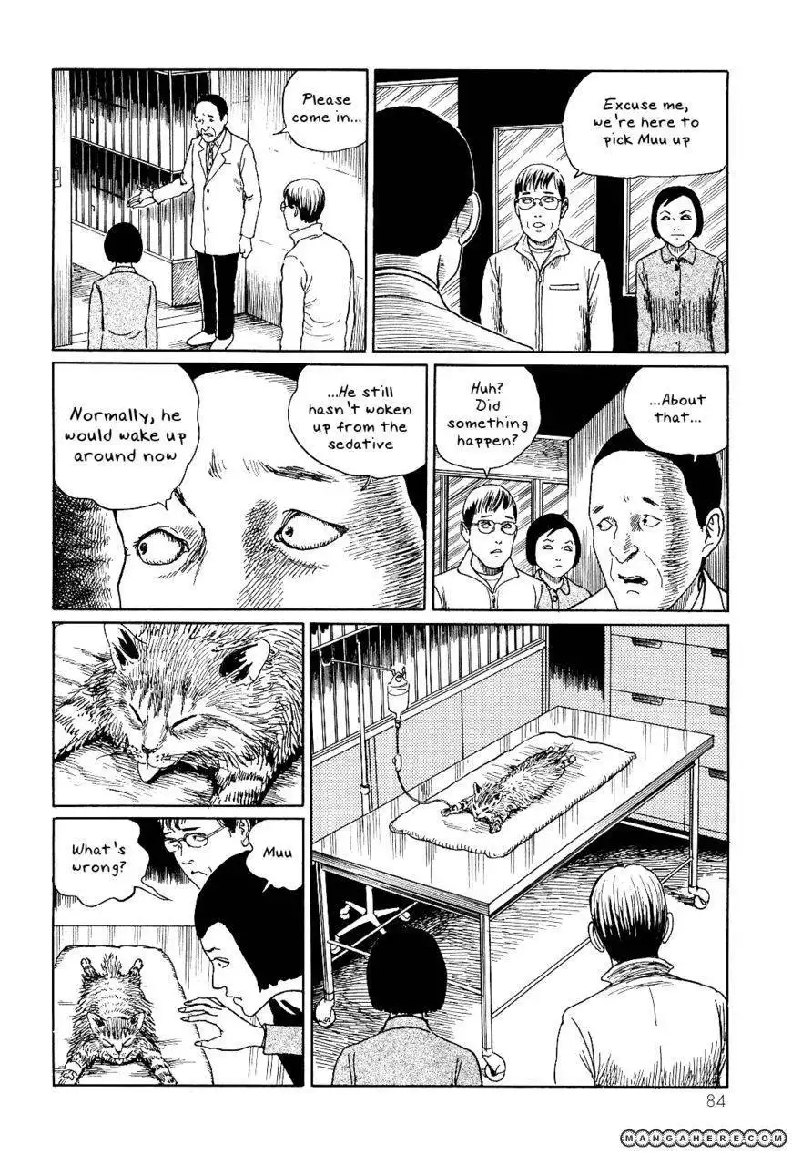 Ito Junji's Cat Diary Chapter 8 6